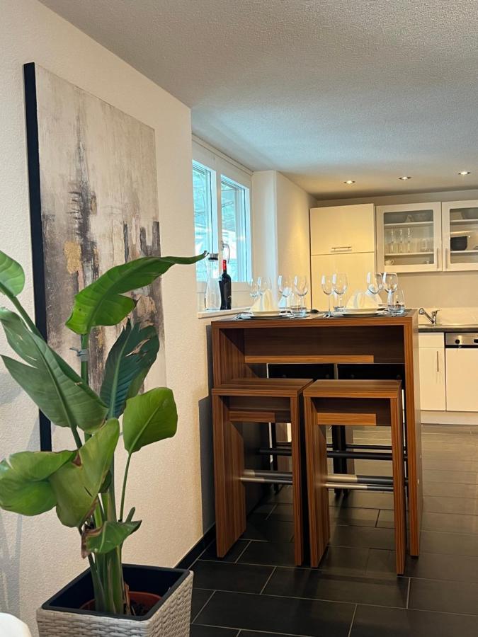 The R Apartment Froburg, Parking, Netflix, Golfplatz Obergosgen ภายนอก รูปภาพ
