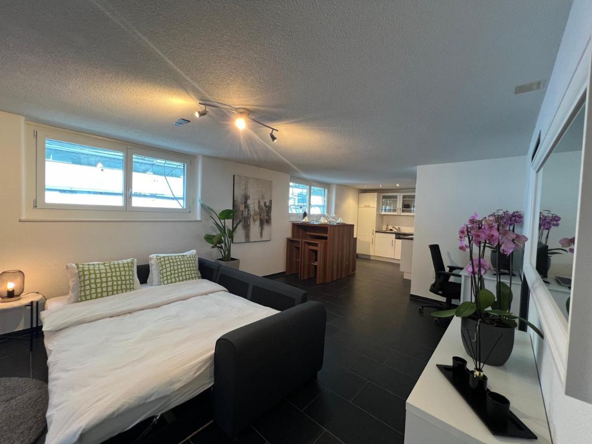 The R Apartment Froburg, Parking, Netflix, Golfplatz Obergosgen ภายนอก รูปภาพ
